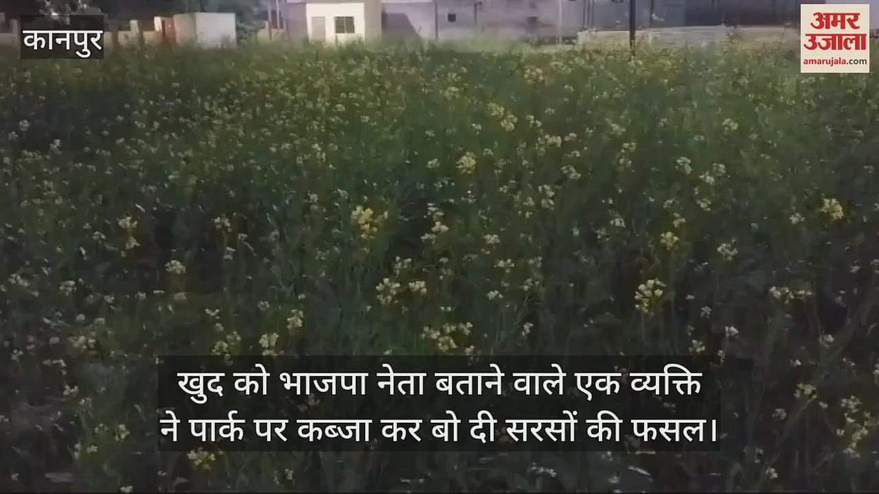 VIDEO : कानपुर में पांच बीघे का पार्क घेर उगाई सरसों, लोगों का जाना हुआ बंद, बोले- आरोपी खुद को बताता है BJP नेता