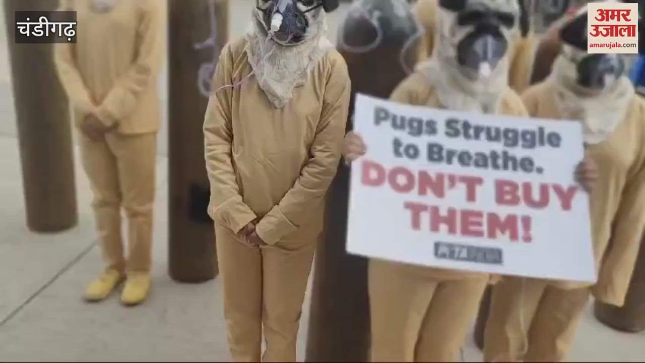 VIDEO : PETA India demonstrated in Chandigarh Sector 17