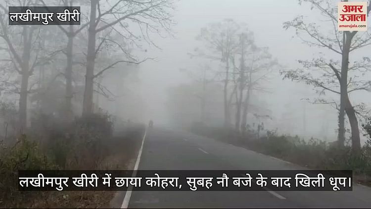 : Fog Covered Lakhimpur Kheri - Amar Ujala Hindi News Live - Video :लखीमपुर खीरी में छाया कोहरा, सुबह नौ बजे के बाद खिली धूप