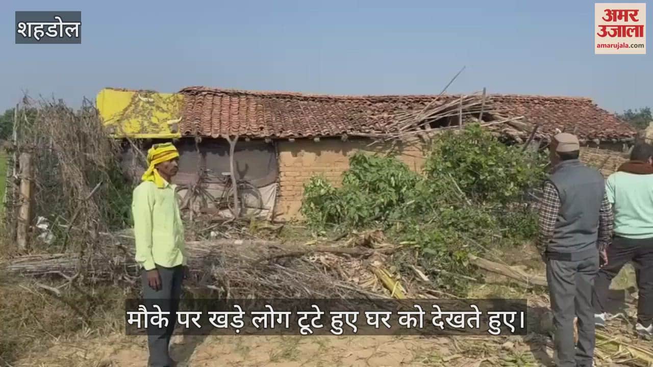 a wild elephant once again destroyed a poor man's home In Shahdol