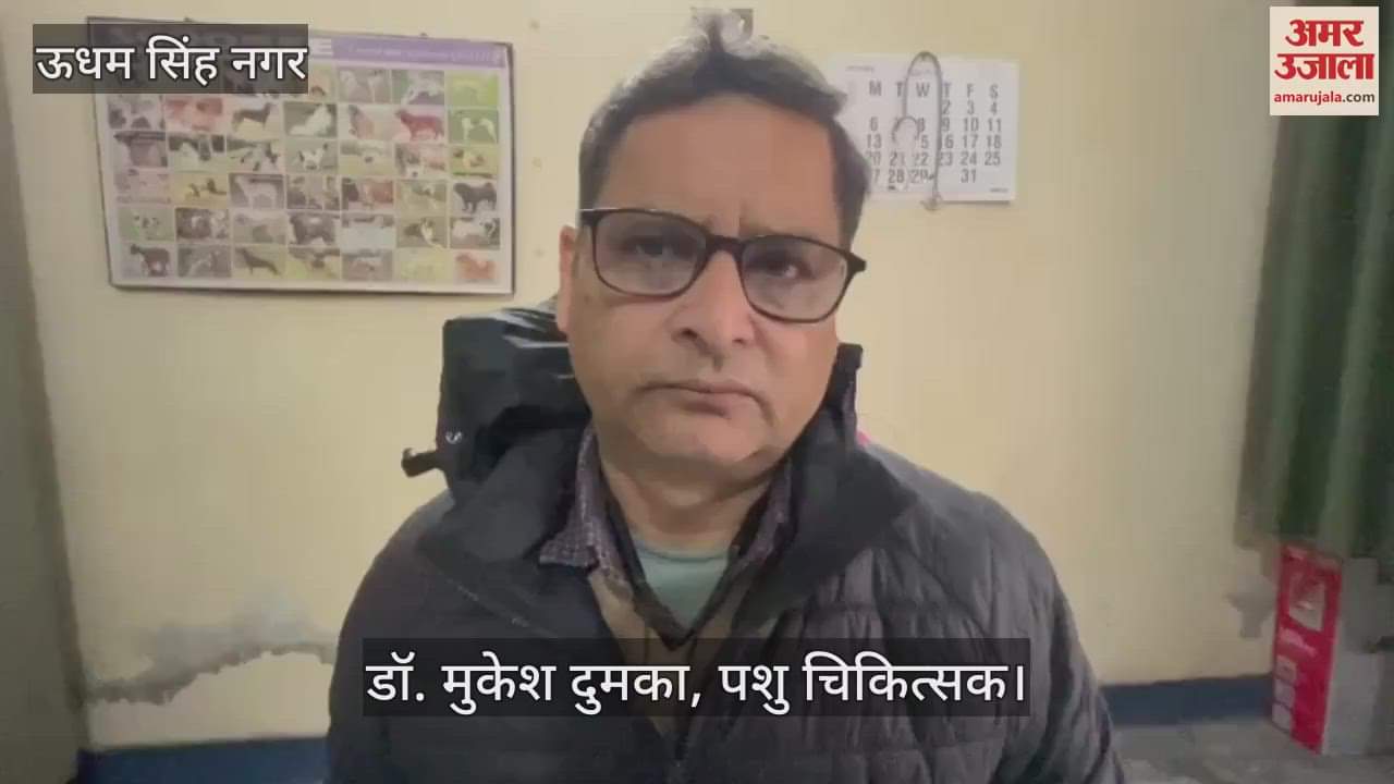 VIDEO : जानवरों को भा रहा जनवरी का मौसम, पशु चिकित्सालय की ओपीडी में कम पहुंच रहे पशु