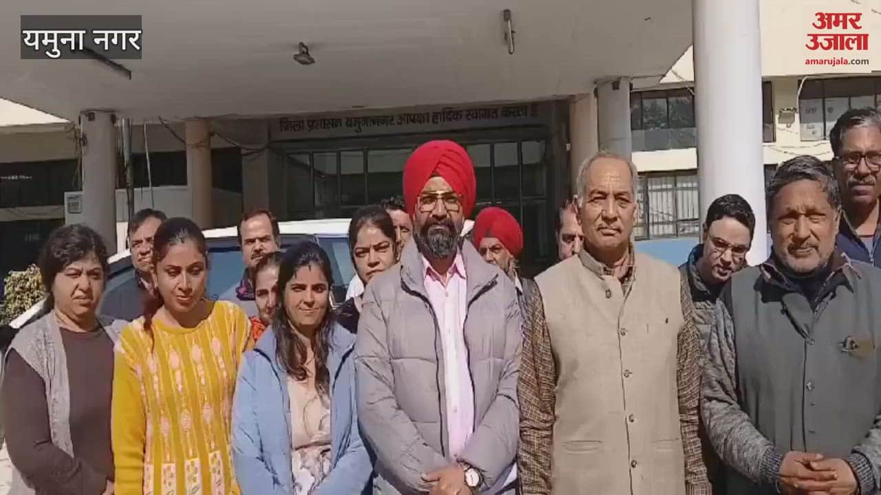 VIDEO : Terror of dogs in Yamuna Nagar's Model Town, making children and the elderly their prey