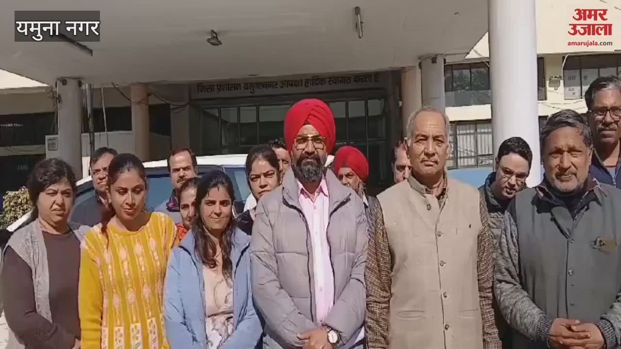 VIDEO : Terror of dogs in Yamuna Nagar's Model Town, making children and the elderly their prey
