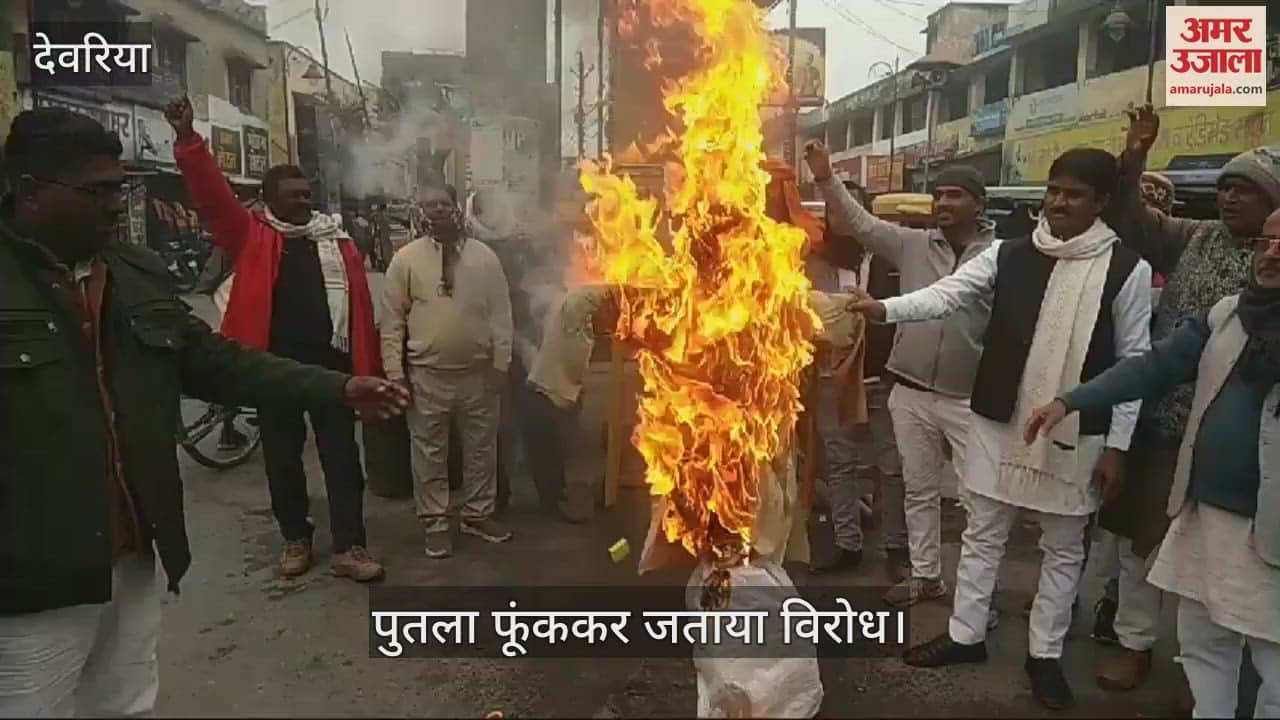 VIDEO : All India Dhangar Samaj Mahasangh burnt the effigy of Social Welfare Minister