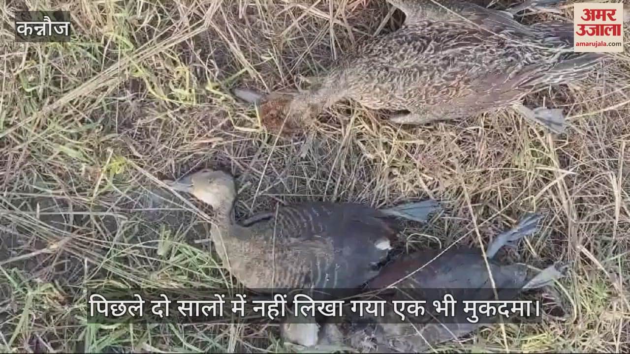 VIDEO : No proper arrangements for the safety of birds in Lakh Bahosi Bird Sanctuary