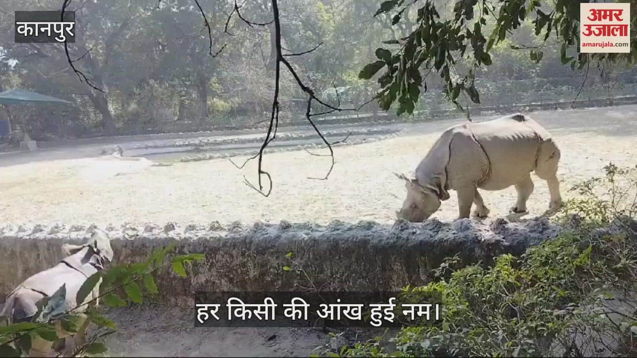 VIDEO : 16-member team of Vantara Zoo left with Gauri