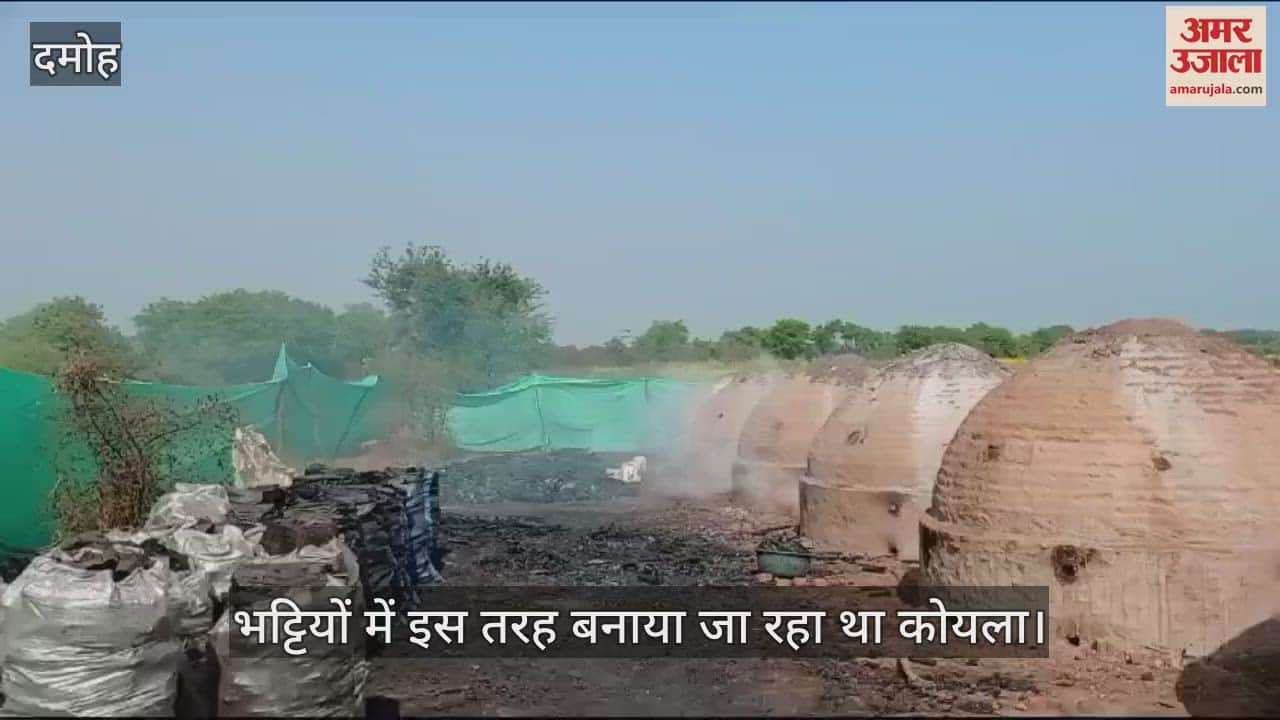 Damoh Coal was being produced illegally in 14 furnaces by using green mat