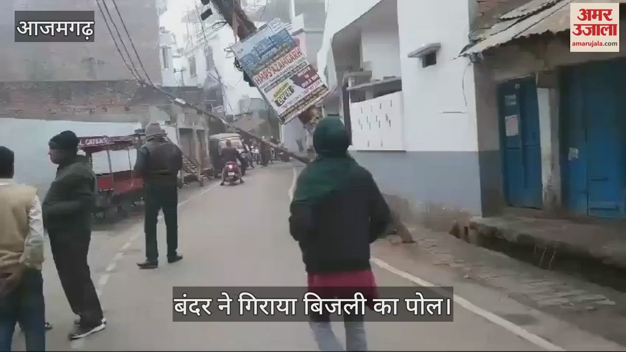 VIDEO : Monkey brought down electricity pole in Azamgarh