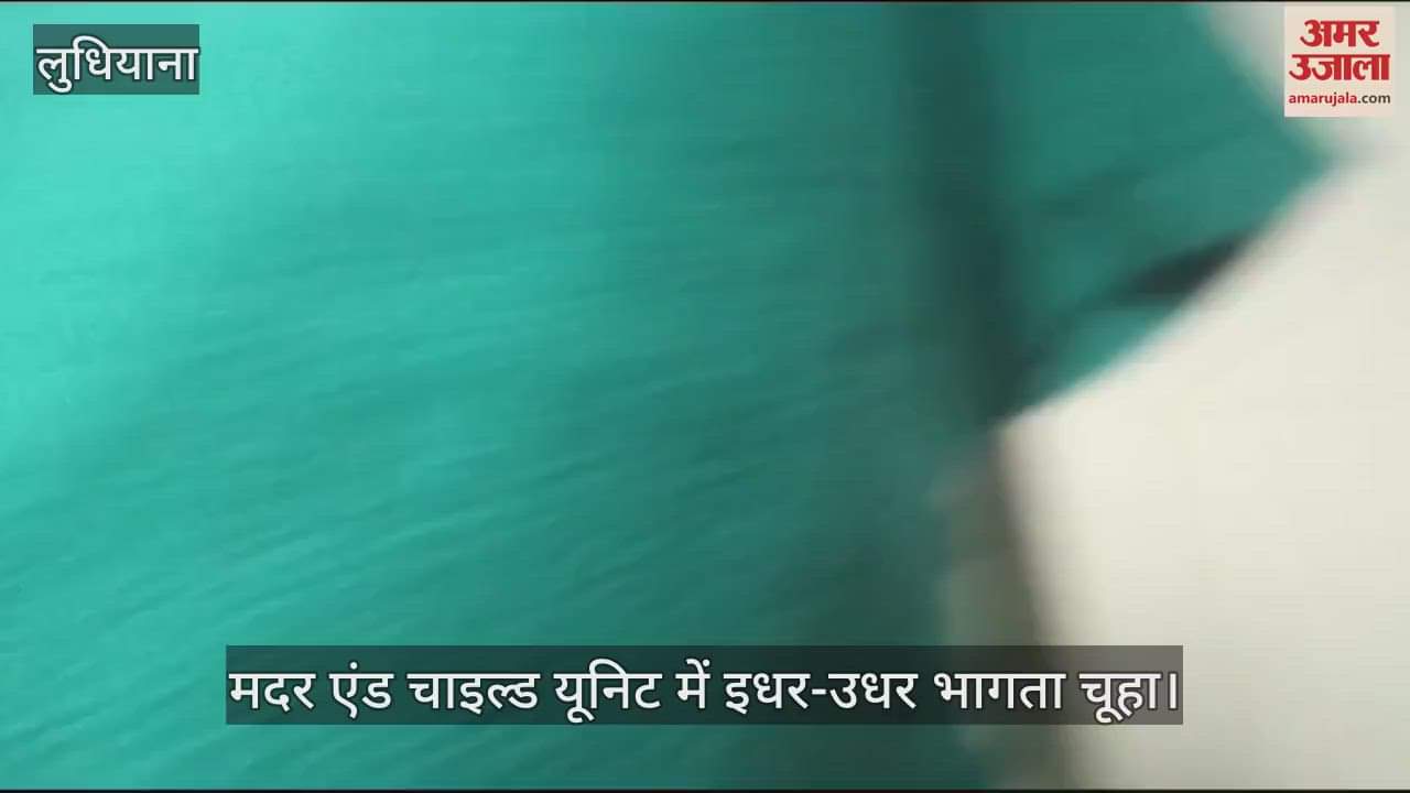 VIDEO : लुधियाना सिविल अस्पताल में चूहों का आतंक
