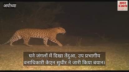VIDEO: Ayodhya: Leopard roaming in the dense forests of Cantt area, Forest Department issued alert VIDEO: Ayodhya: Leopard roaming in the dense forests of Cantt area, Forest Department issued alert