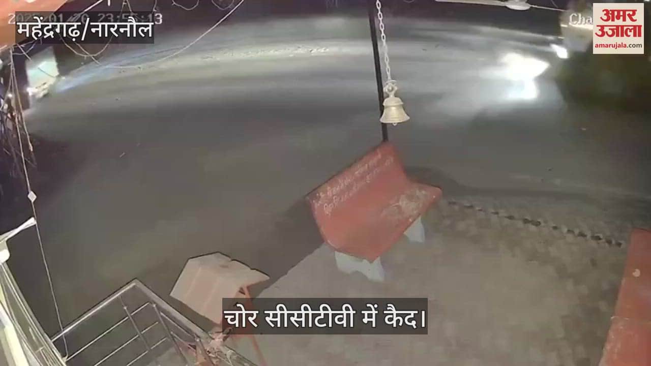 VIDEO : नारनौल में हनुमान मंदिर के दानपात्र का ताला तोड़कर नकदी की चोरी