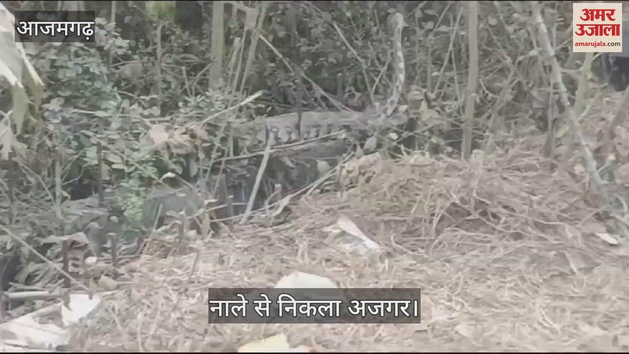 VIDEO : Crowd gathered to see python in Azamgarh
