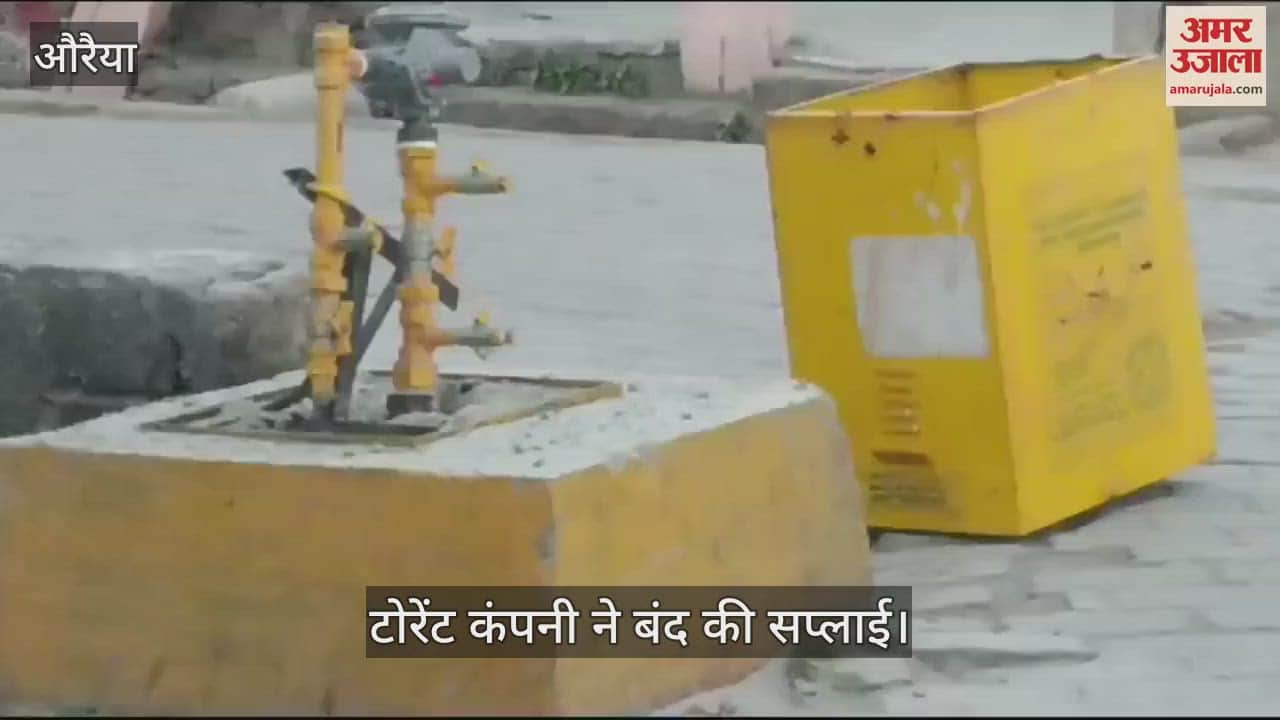 VIDEO : Gas pipeline damaged in fight between two bulls in Auraiya