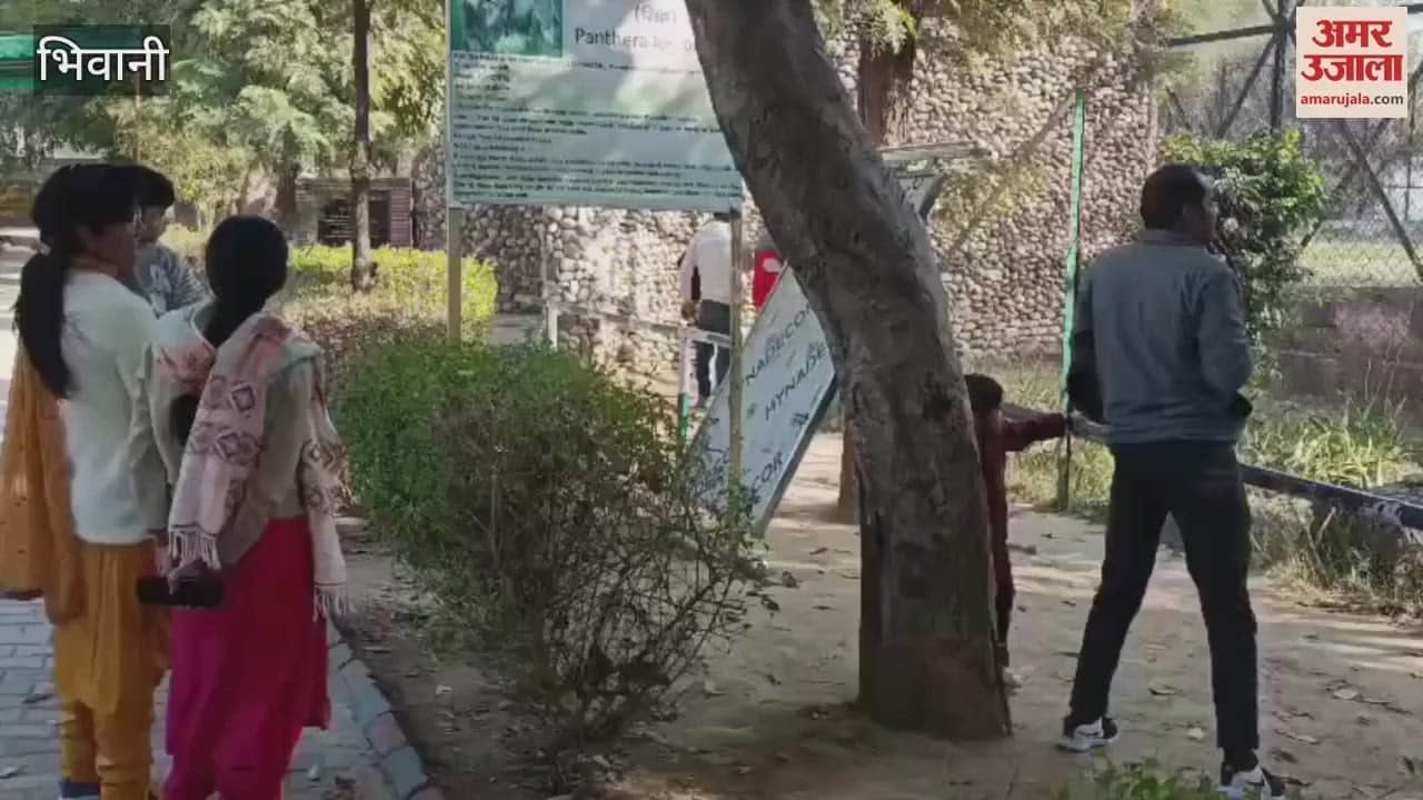 VIDEO : भिवानी में धूप निकलने से लघु चिड़ियाघर में लौटी रौनक