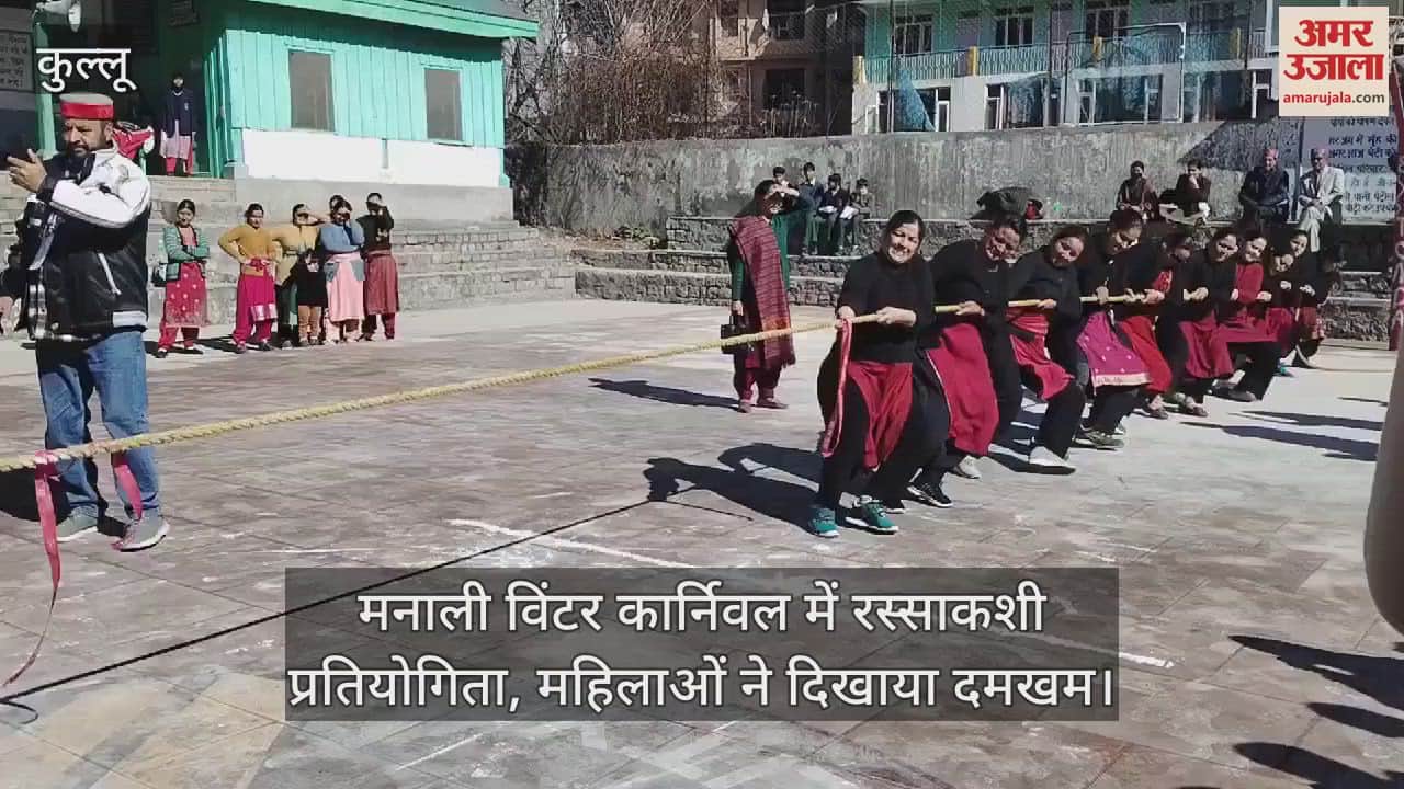 VIDEO : Tug of war competition in Manali Winter Carnival, women showed their strength