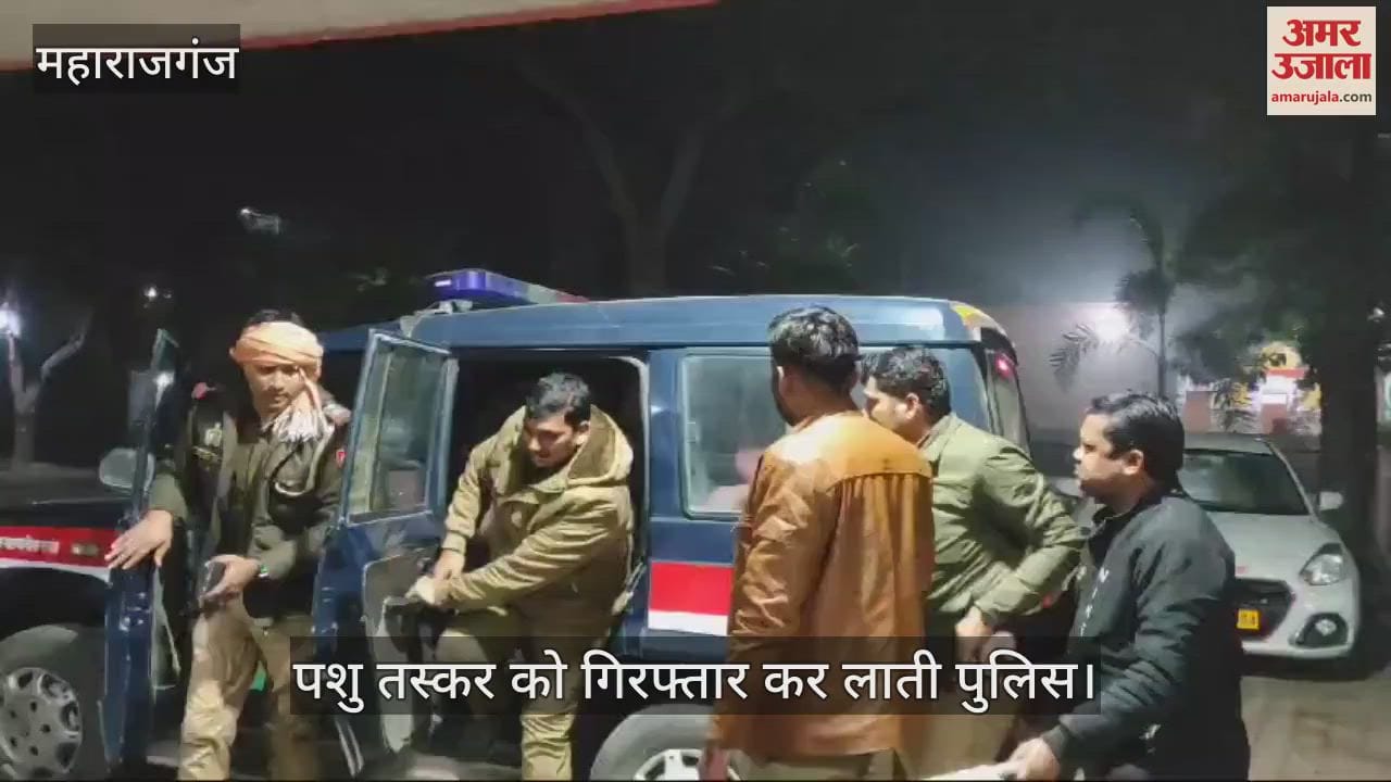 VIDEO : Encounter between cattle smugglers, one injured and cattle recovered