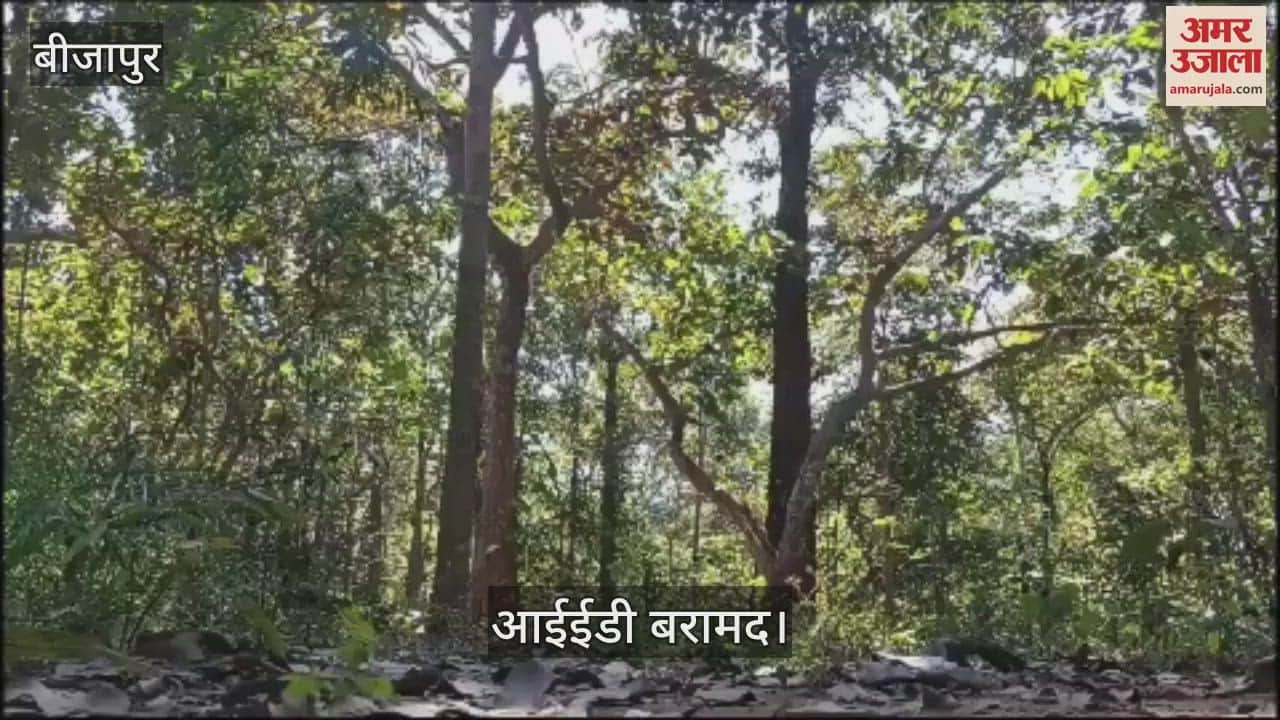 VIDEO : Naxals plans in Bijapur failed once again eight IED weighing five kg each recovered