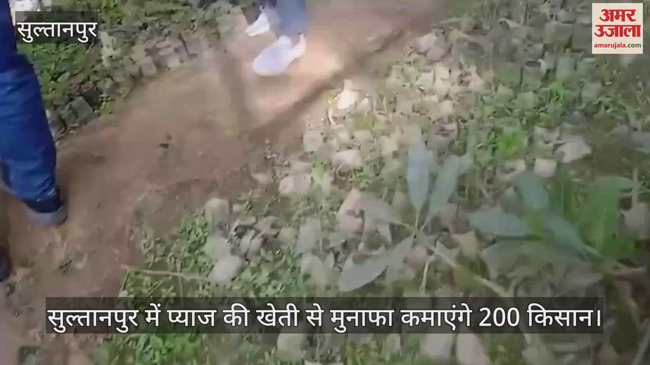 VIDEO : सुल्तानपुर में प्याज की खेती से मुनाफा कमाएंगे 200 किसान