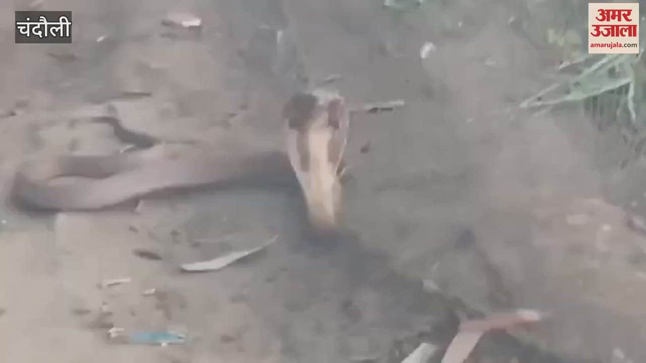 VIDEO : Women and youth showed humanity in chandauli saved snake trapped net