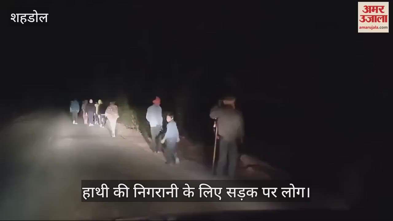 Shahdol News: Terror of wild elephant in Byahari for two months