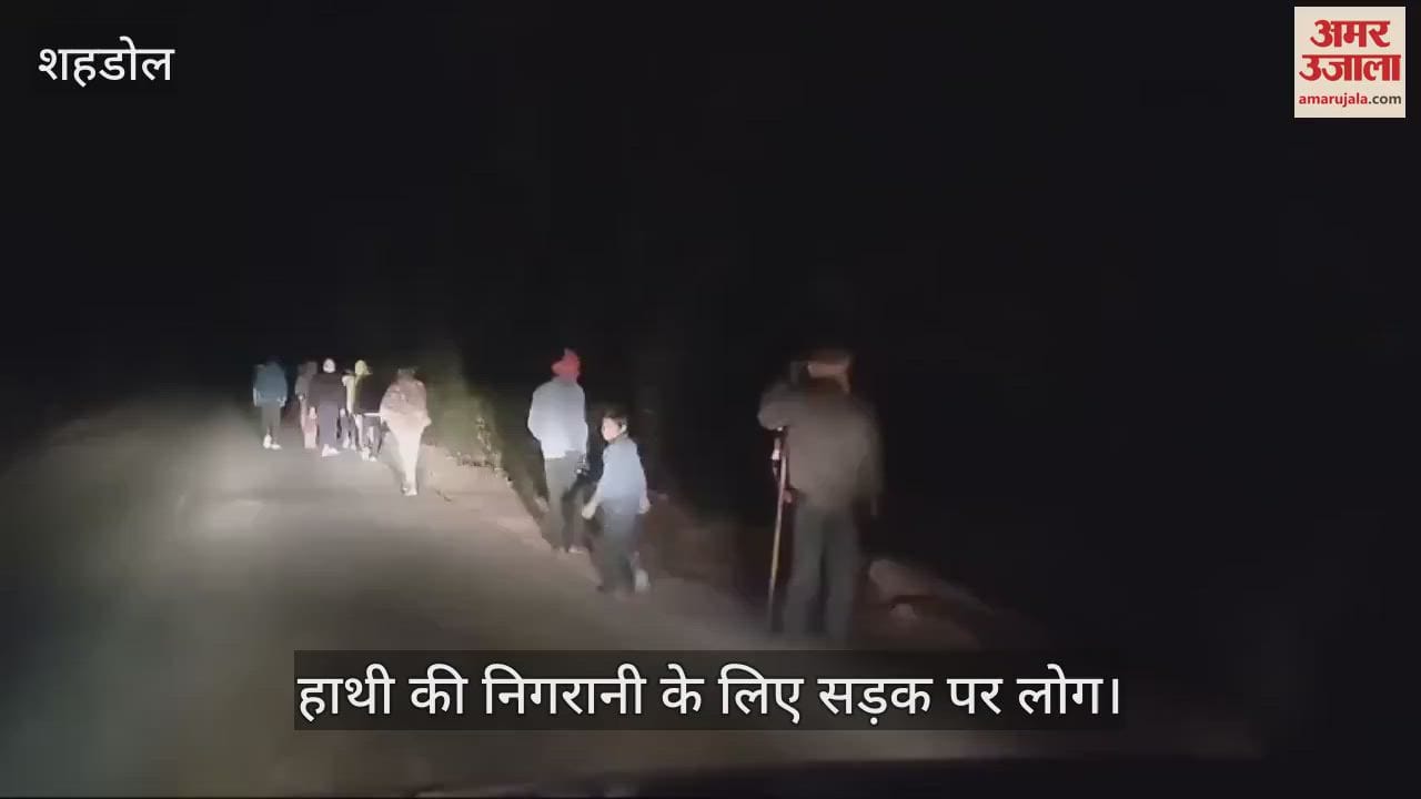 Shahdol News: Terror of wild elephant in Byahari for two months