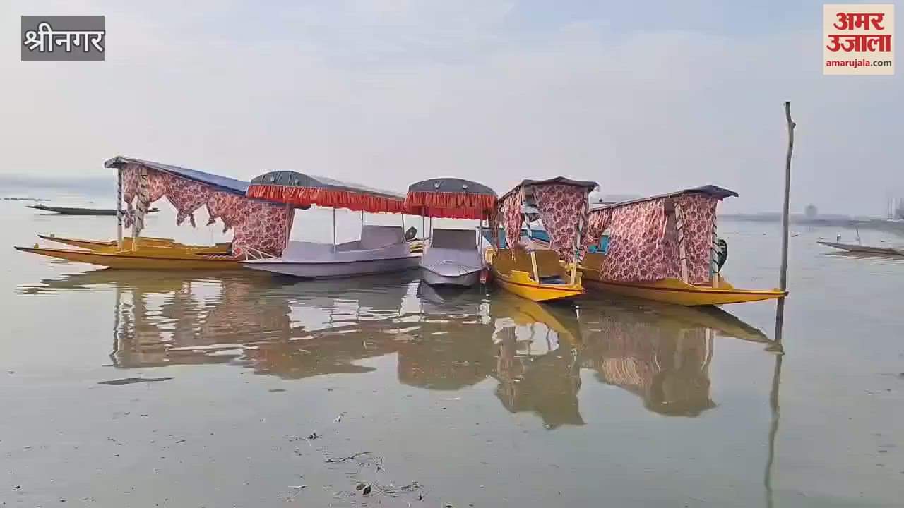 VIDEO : Employment possibilities increased due to arrival of thousands of migratory birds in Wular Lake