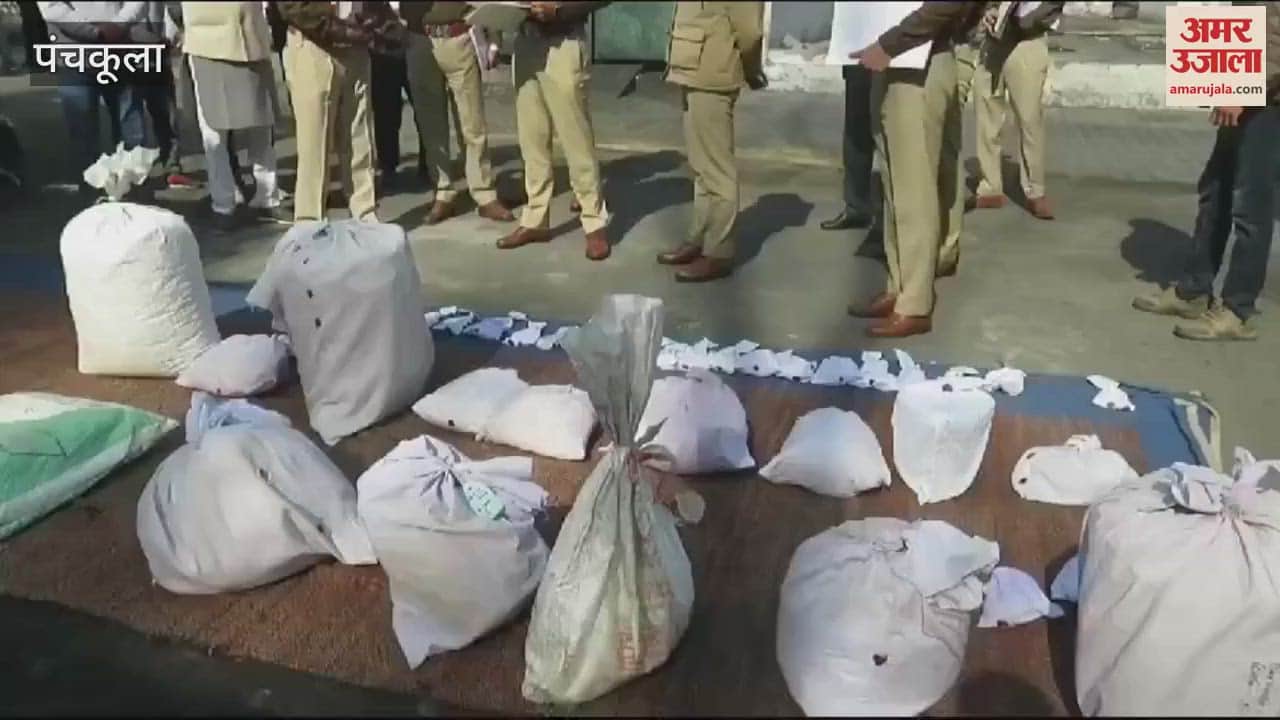 VIDEO : पंचकूला पुलिस ने नष्ट किए नशीले पदार्थ