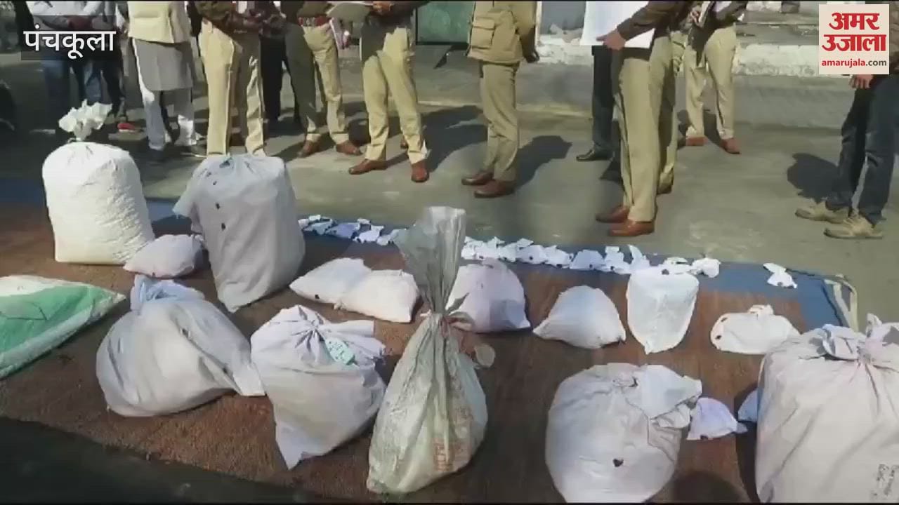 VIDEO : पंचकूला पुलिस ने नष्ट किए नशीले पदार्थ