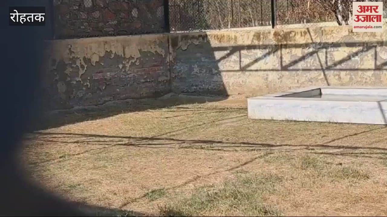 VIDEO : white tiger arrived in Rohtak from Telangana