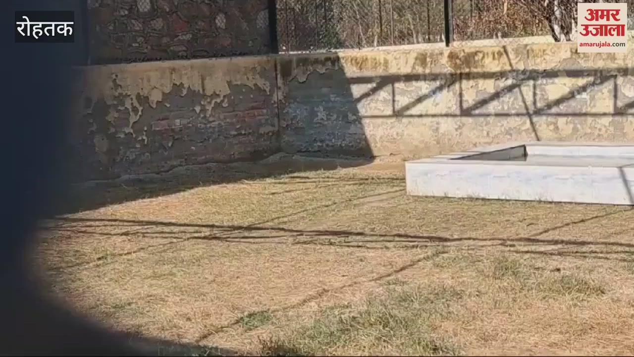VIDEO : white tiger arrived in Rohtak from Telangana