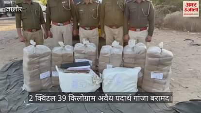 Jalore Ganja smuggled under guise of chillies more than two quintals of drugs recovered smuggler absconding
