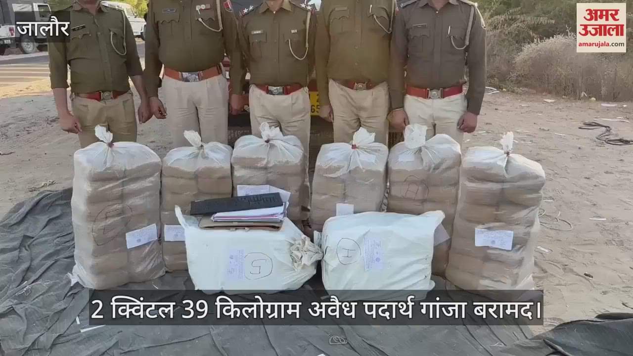Jalore Ganja smuggled under guise of chillies more than two quintals of drugs recovered smuggler absconding