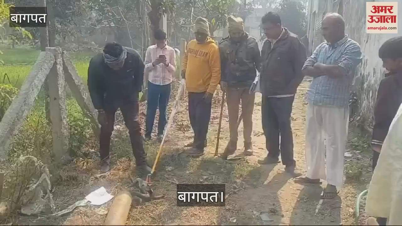 VIDEO : python-like snake was caught in Bijnor after four days, people breathed a sigh of relief