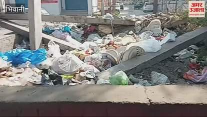 VIDEO : Green belt in front of Central Park in Bhiwani has become a garbage dump, people living nearby are dumping domestic waste