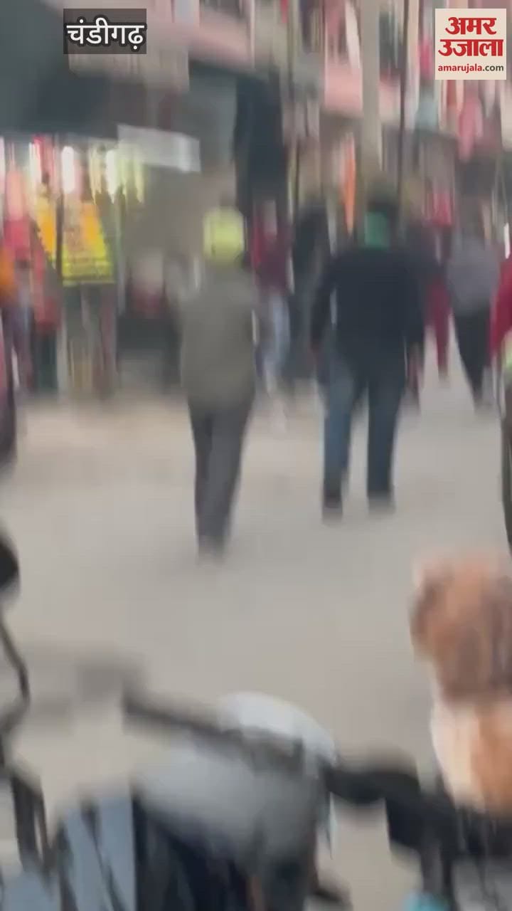 VIDEO : youth was attacked in Chandigarh accused pelted stones at his house