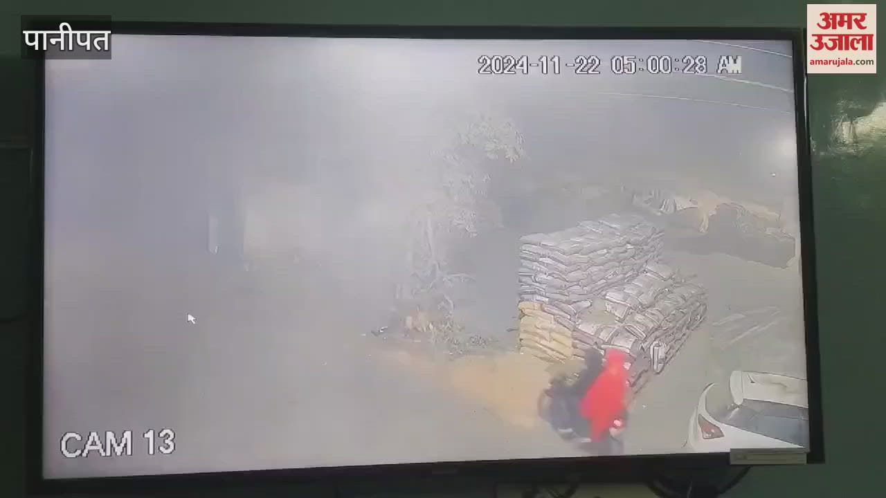 VIDEO : Paddy bags stolen from the shop of the head of Anaj Mandi in Matlauda, Panipat