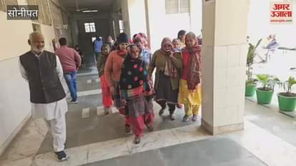 VIDEO : Monkey terror in Sonipat, citizens appealed to the administration, tender will be issued soon