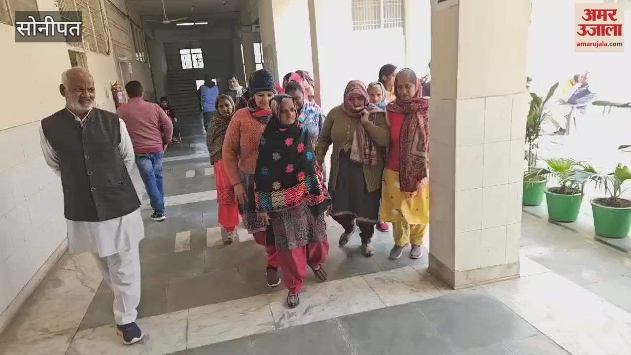 VIDEO : Monkey terror in Sonipat, citizens appealed to the administration, tender will be issued soon