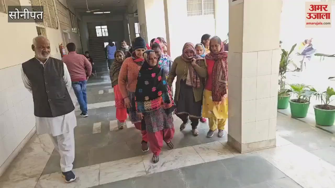 VIDEO : Monkey terror in Sonipat, citizens appealed to the administration, tender will be issued soon