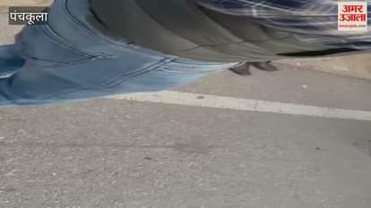 VIDEO : पंचकूला में चंडीगढ़ की शराब की 89 पेटी पकड़ी