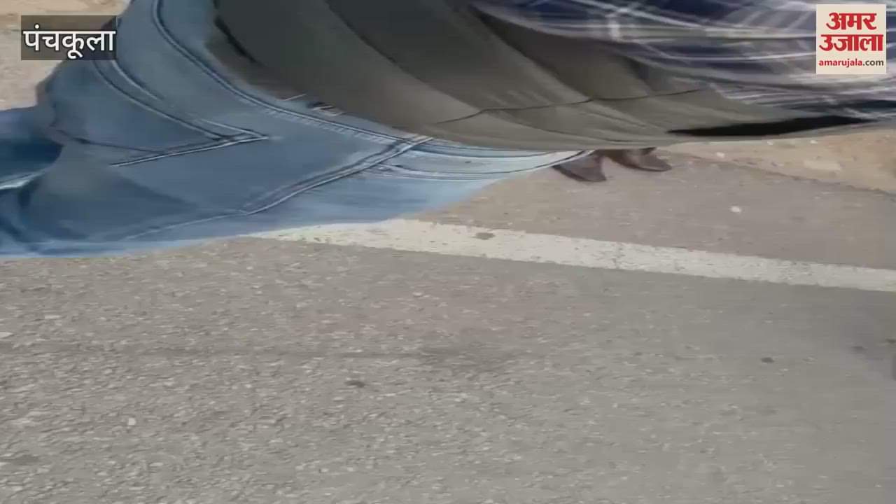 VIDEO : पंचकूला में चंडीगढ़ की शराब की 89 पेटी पकड़ी