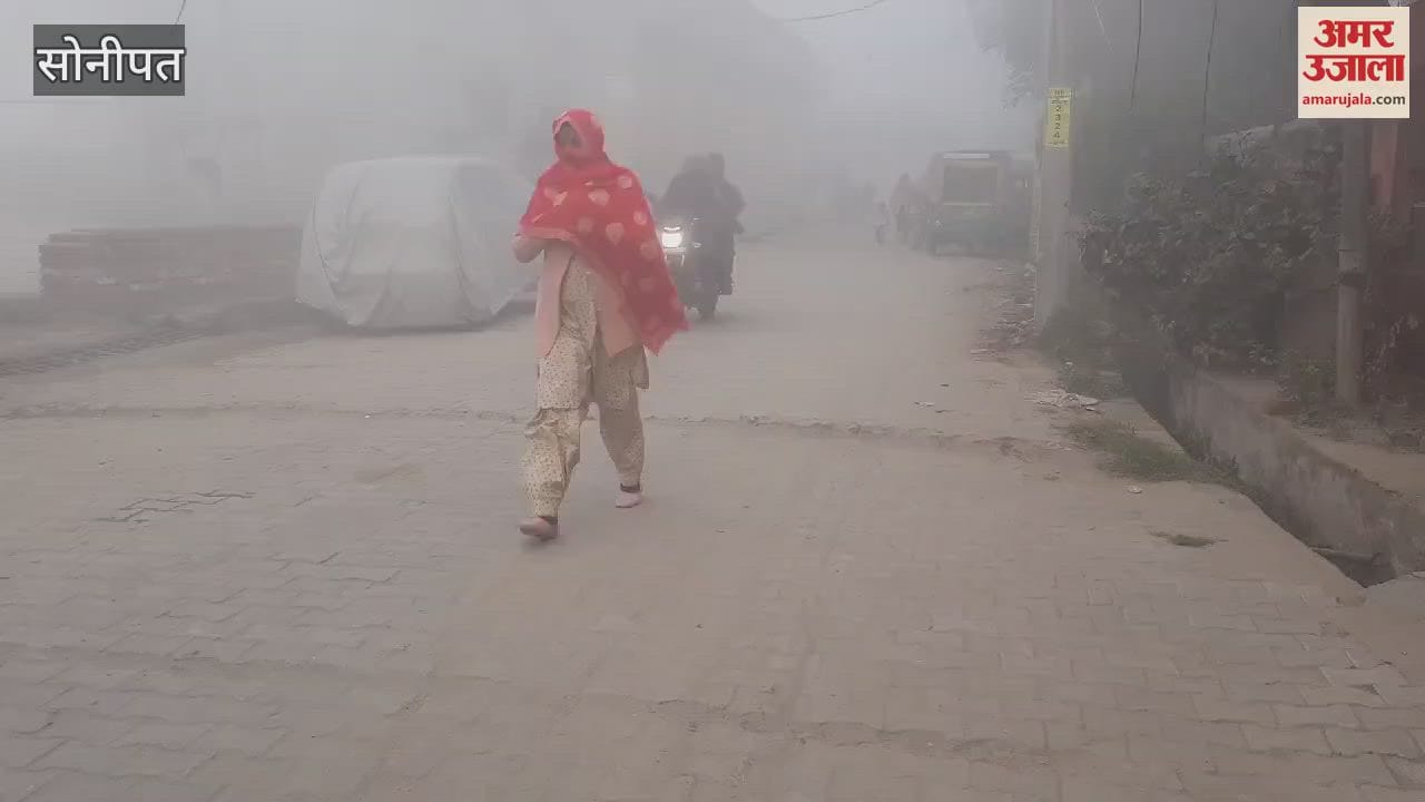 VIDEO : fog in rural areas of Sonipat slowed down speed