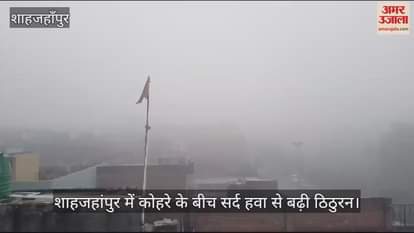 VIDEO : Chill increased due to cold air amid fog in Shahjahanpur