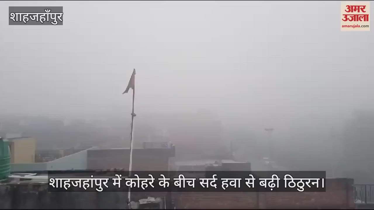VIDEO : Chill increased due to cold air amid fog in Shahjahanpur