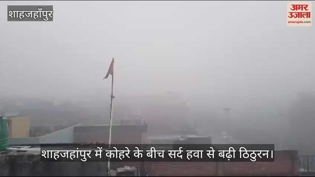 VIDEO : Chill increased due to cold air amid fog in Shahjahanpur