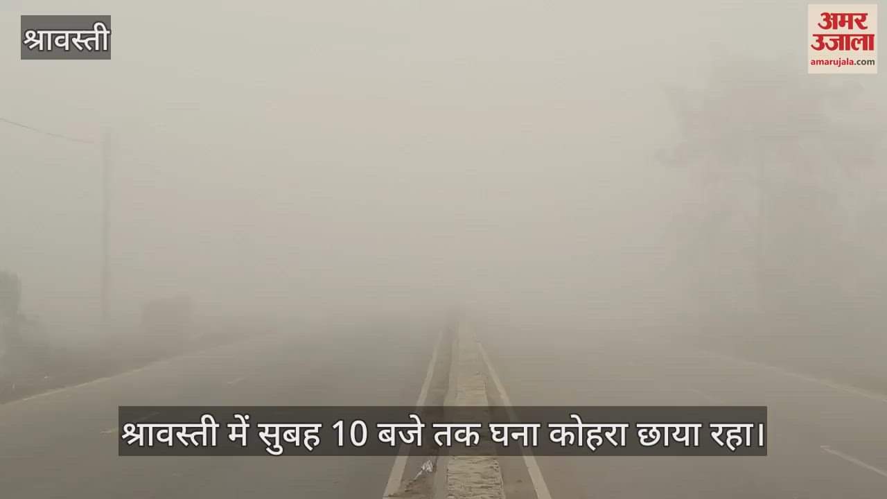VIDEO : श्रावस्ती में फिर छाया घना कोहरा, सुबह 10 बजे तक ऐसा रहा मौसम का नजारा