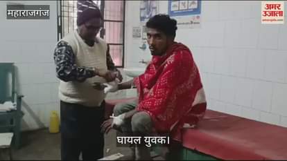 VIDEO : Leopard attacked, went and hid in sugarcane field