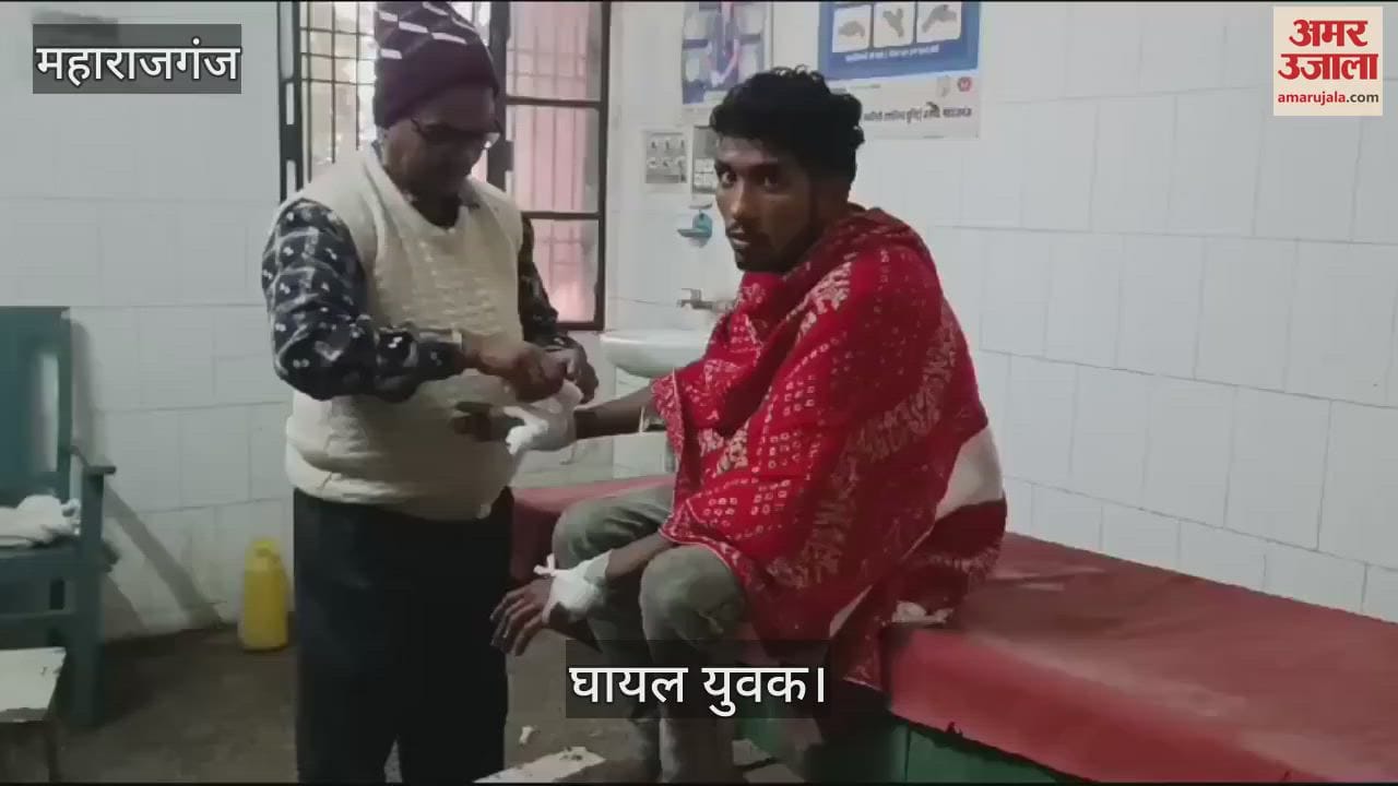 VIDEO : Leopard attacked, went and hid in sugarcane field