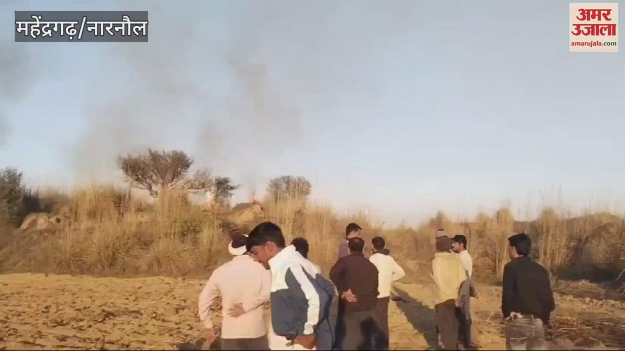 VIDEO : नारनौल में बाजरे की कबड़ी जलकर राख