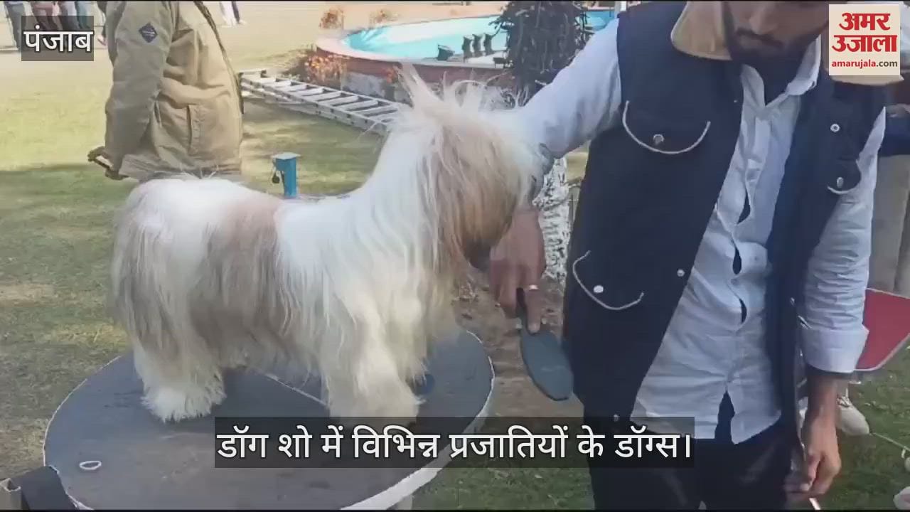 VIDEO : साइंस सिटी का डॉग शो, 35 प्रजातियों के 150 से ज्यादा डॉग्स पहुंचे